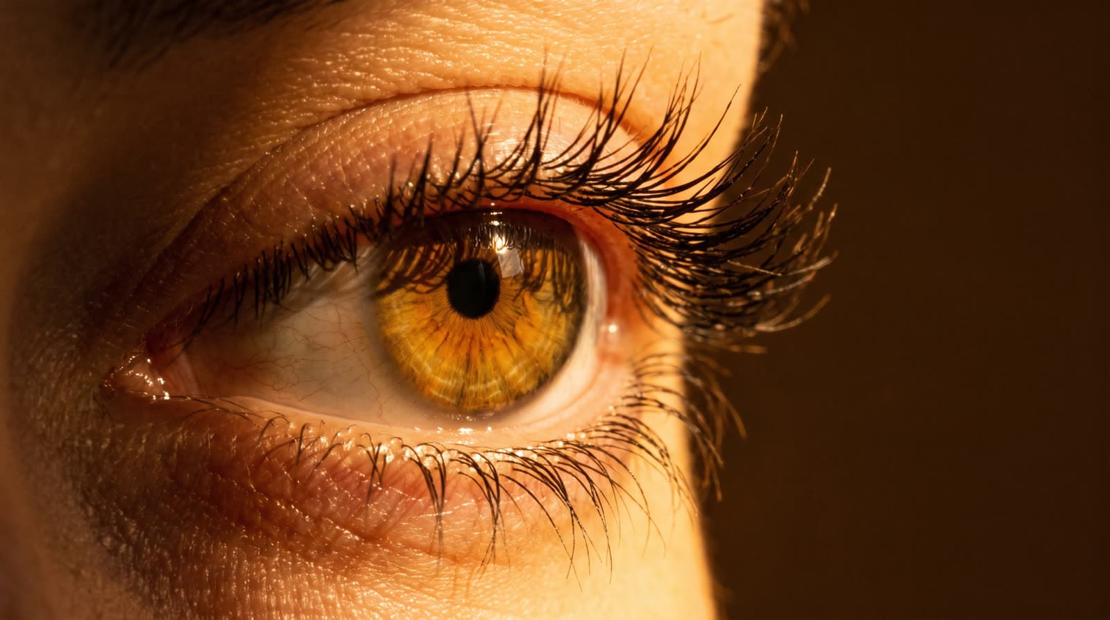 On Definition: How to Apply Mascara